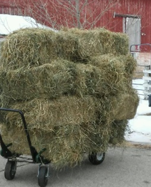Flat Deck Utility Cart for use as Farm Equipment